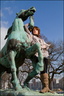 IMG7D B8477 800