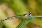 IMG 7141 2048