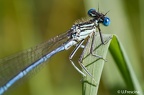 IMG 7168 2048