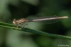 IMG 7186 2048