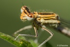 IMG 7200 2048