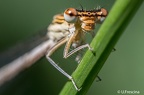 IMG 7210 2048