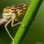 IMG 7223 2048