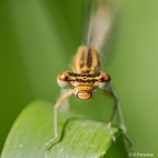 IMG 7233 2048