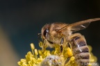IMG7D S9400 2048