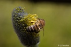 IMG7D S9379 2048