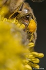 IMG7D S9415 2048