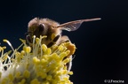 IMG7D S9577 2048