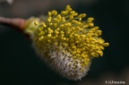 IMG7D S9429 2048