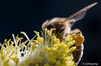 IMG7D S9578 2048