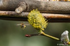 IMG7D S9647 2048