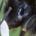IMG7D T3159 2048