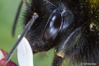IMG7D T3159 2048
