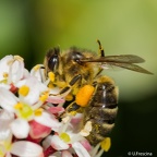 IMG7D T3203 2048