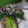IMG7D T3303 2048