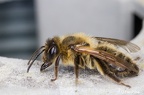 IMG7D T3308 2048