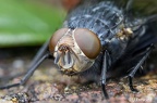 IMG7D T3529 2048