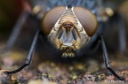 IMG7D T3542 2048