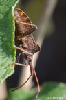 IMG7D T3553 2048