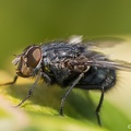 IMG7D T3567 2048