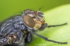 IMG7D T3618 2048