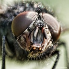 IMG7D T4693 2048