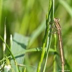 IMG7D T4759 2048