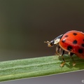IMG7D T4784 2048