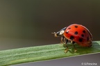 IMG7D T4784 2048