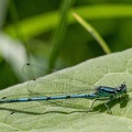 IMG7D T4810 2048