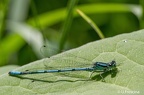 IMG7D T4810 2048