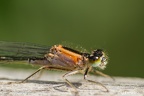 IMG7D T4822 2048