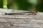 IMG7D T4833 2048