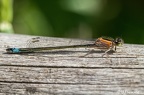 IMG7D T4834 2048