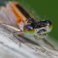IMG7D T4849 2048