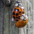 IMG7D T4864 2048