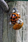 IMG7D T4864 2048