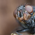 IMG7D T4993 2048