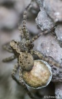 IMG7D T5391 2048