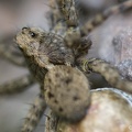 IMG7D T5395 2048