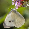 IMG7D T9967 2048