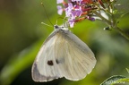 IMG7D T9967 2048