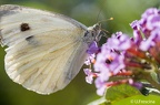 IMG7D T9980 2048