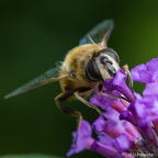 IMG7D U0160 2048