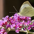 IMG7D U0174 2048