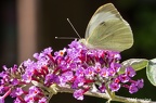 IMG7D U0174 2048
